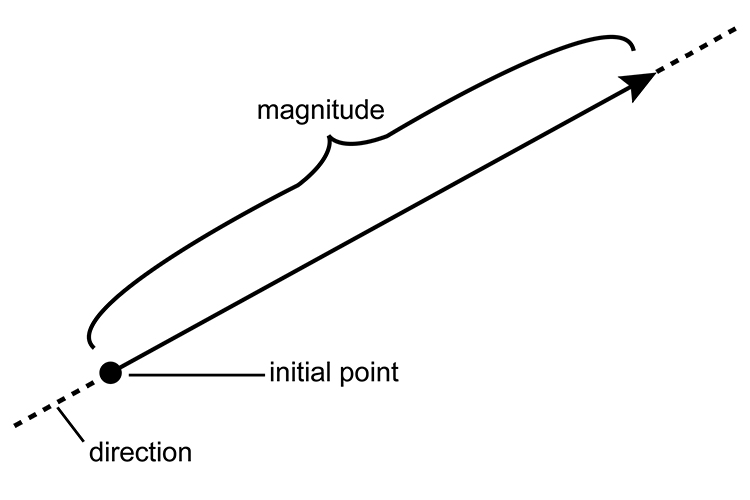 A vector showing a direction and magnitude from an initial point